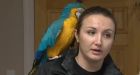 SPCA seizes 143 animals, birds from Fredericton home