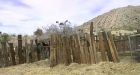 Feds accused of leaving trail of wreckage after Nevada ranch standoff