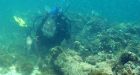 Christopher Columbus's ship Santa Maria may have been found