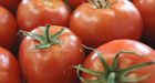 Heinz, Ford aim to make car parts from tomato skins