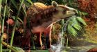 Hedgehog and tapir fossils found in B.C.