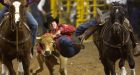 Lee Graves, 3 rodeo horses hurt in Black Diamond theft attempt