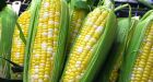 U.S. Farmers Are Up to Their Ears in  Corn