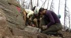 Burgess Shale fossil beds in Kootenay park yield 'astounding' finds