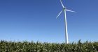 Ontario families call on court to stop construction of huge wind farm