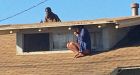 Incredible photo shows moment intruder follows actress onto roof after she escapes through window