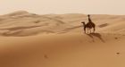 Google Street View uses camel to map Arabian desert