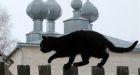 Budapest�s black cats get Halloween protection