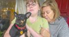 Therapy dog 'disembowelled' by pit bull in unprovoked attack