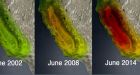 NASA: Major droughts threaten food supply, global security