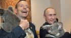 Russians scorn Harper's, the world's 'shirt-fronting' of Putin