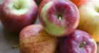 Bidart Bros. apples recalled over listeria risk