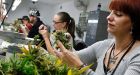 Legalized marijuana: What Colorado looks like 1 year after Amendment 64
