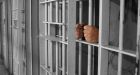 Radicalization a growing risk in Canadian prisons, experts warn
