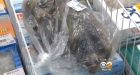 LA health officials take action afterl supermarket sells racoon meat