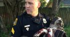 Tampa police save dog that was shot three times and tied to railroad tracks