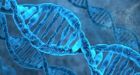 Genetic risk: Should doctors warn you about incidental findings'