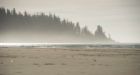 Ancient clam gardens suggest First Nations did more than hunt and gather