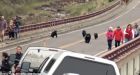 Yellowstone National Park tourists flee as mother bear chases them away