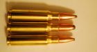 Arkansas veterinarian removes ammunition from dog that ate 23 live rifle rounds