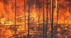 Quebec forest fire risk highest it's been in a decade