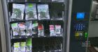 Marijuana vending machine lands in Victoria shop