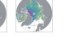 Increased Arctic sea ice volume after anomalously low melting in 2013