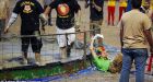 Pig-wrestler at Utah County Fair slams animal-rights protester over fence at county fair
