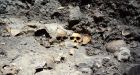 Aztec human skull rack unearthed at ancient temple in Mexico City