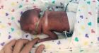 Utah woman gives birth to 1 1/2-pound baby on cruise ship; tiny boy beats odds to survive |