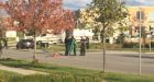 Girl, 4, dead after being struck by vehicle in Markham