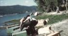 Idaho uncovers historic footage of beavers in boxes, parachuting from plane