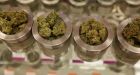 Colorado official warns Trudeau: legalizing pot 'harder to implement than you think'
