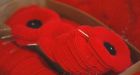 Thieves steal poppy donation boxes in Calgary