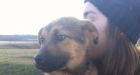 Saskatchewan nursing student rescues unwanted dogs on Sturgeon Lake First Nation