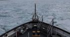 Lake Erie's lack of ice means shipping companies save money this winter