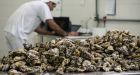 Ocean acidification behind rise in price of B.C. shellfish