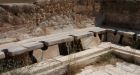 Ancient Romans plagued by parasites despite sanitation measures