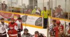 Junior hockey brawl sparked by attempted theft of moose leg | HOCKEY | Hockey |