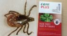 Tick test for Lyme disease bacteria now available in Canada