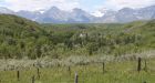 Bankrupt energy firms add to Alberta's abandoned well problems