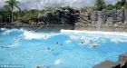 Disney's Typhoon Lagoon in Florida sees man arrested for groping SIX people