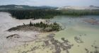 All Is Not Well 2 Years After Mount Polley Mine Disaster