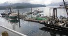 DFO crackdown in northern B.C. unfair, fishermen claim