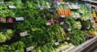 Cyclospora outbreak in Canada possibly linked to imported produce