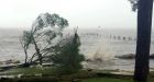 Hermine becomes first hurricane to make landfall in Florida in 11 years