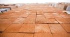 No choice but to launch trade challenge against Canada, U.S. lumber lobby says