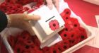 Alberta man designs 'theft-proof' poppy box
