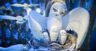 Enchanted forest replaces Santas workshop in Hudsons Bays holiday window displays