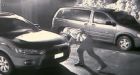 Serial tire slasher caught on camera